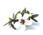 Manuka