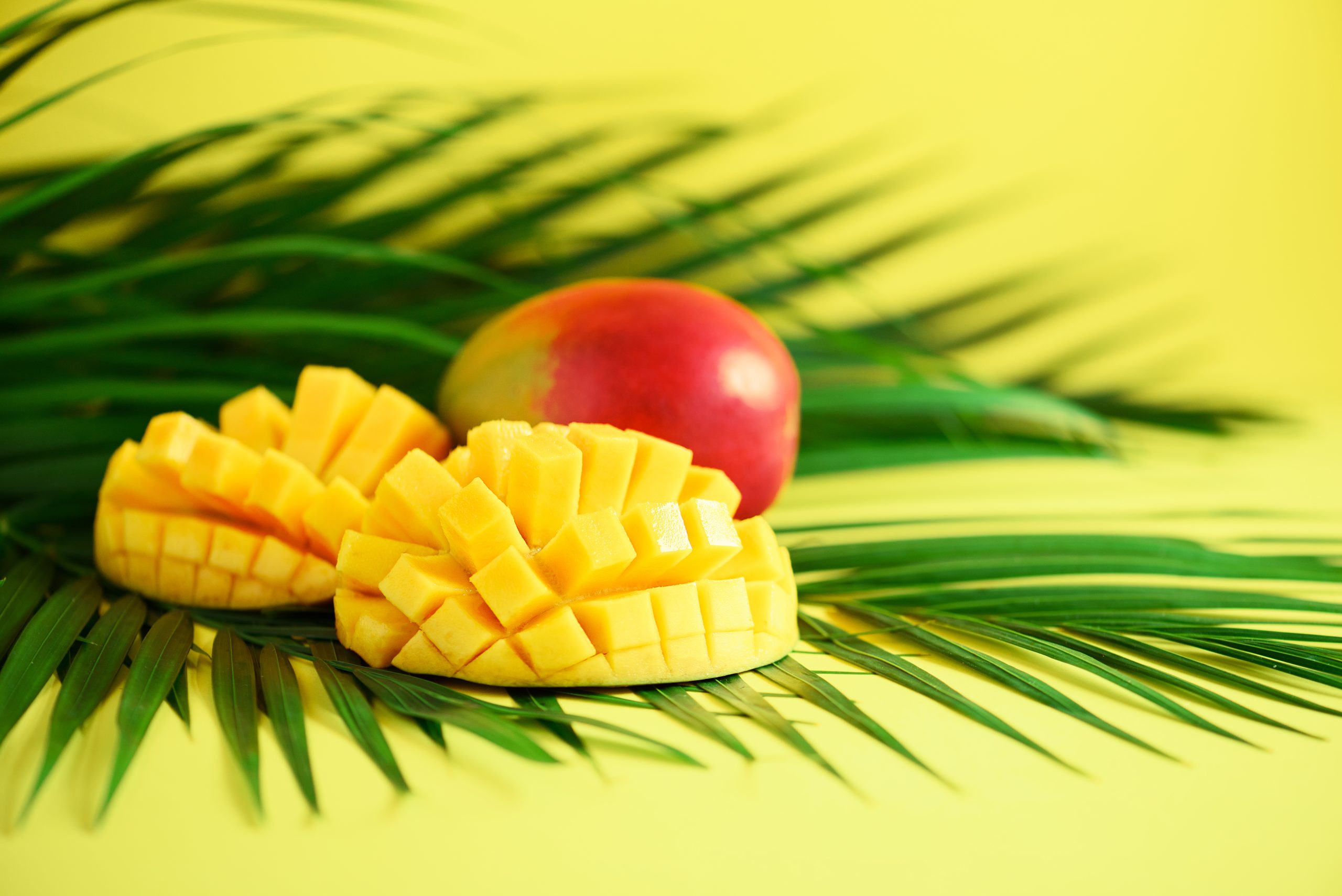 Exotic mango fruit over tropical green palm leaves on yellow background. Copy space. Pop art design, creative summer concept. Banner