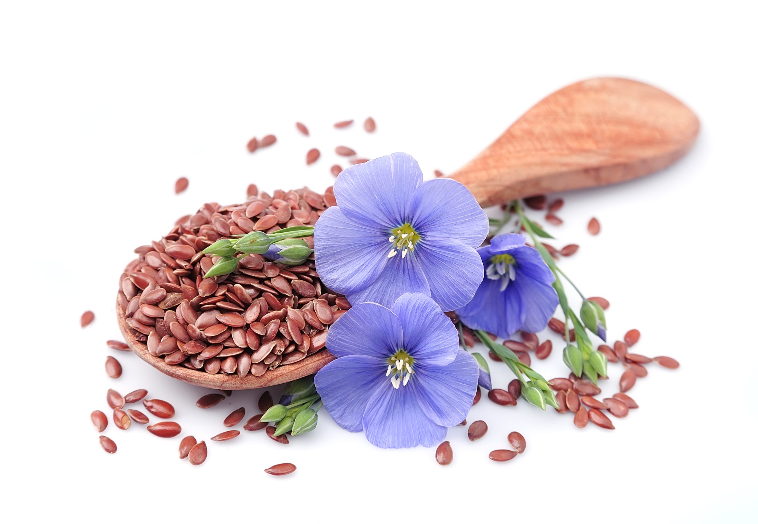Flax seeds