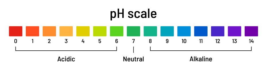Ph scale chart. Diagram of acid and alkaline solutions on white background. Ph indicator acid-base balance, chemical analysis, vector illustration