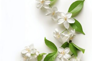branch-white-flowers-with-word-flowers-it branch-white-flowers-with-word-flowers-it