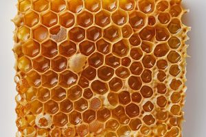 pile-honeycombs-with-white-background pile-honeycombs-with-white-background