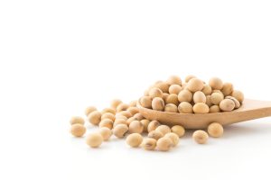 soy beans sojini proteini