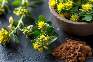 using-rhodiola-rosea-supplement-stress-relief-energy-enhancement-concept-herbal-supplements-rhodiola-rosea-stress-relief-energy-enhancement using-rhodiola-rosea-supplement-stress-relief-energy-enhancement-concept-herbal-supplements-rhodiola-rosea-stress-relief-energy-enhancement