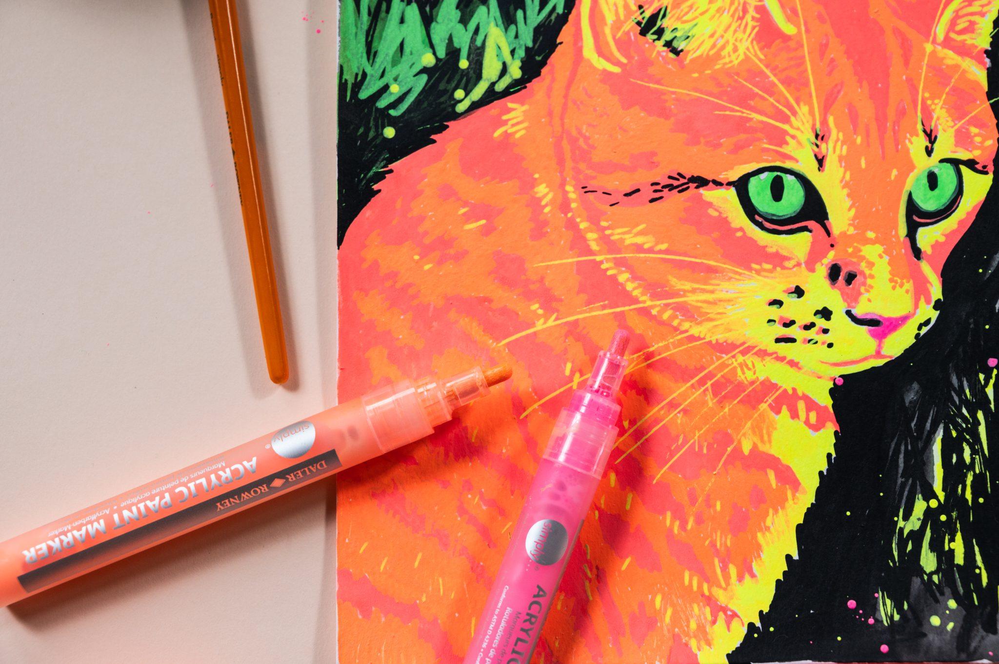 Daler-Rowney Simply fluorescentni akrilni markeri uz ilustraciju mačke u fluo bojama